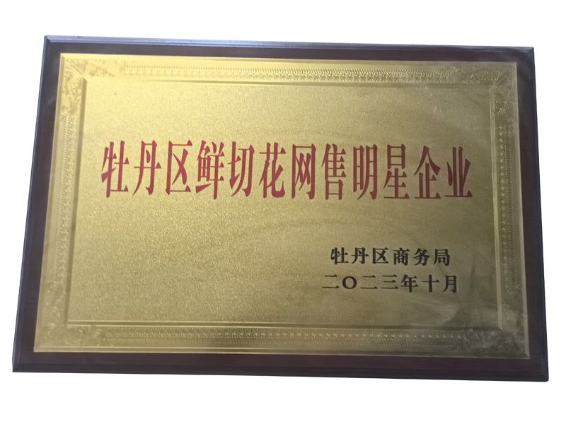 牡丹區(qū)鮮切花網售明星企業(yè)
